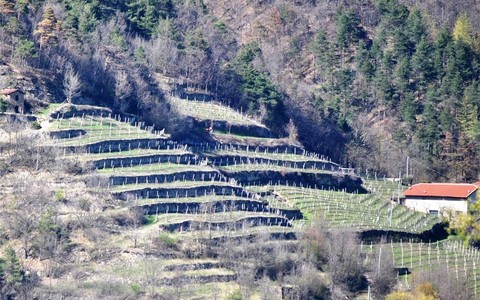 Terrazzamenti in Valle Belbo