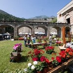 A Vinadio torna oggi l'appuntamento con Forte in Fiore A Vinadio torna oggi l'appuntamento con Forte in Fiore