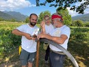 Da Dronero a Fontanafredda la falce torna protagonista per ripensare il futuro del paesaggio e del vino Da Dronero a Fontanafredda la falce torna protagonista per ripensare il futuro del paesaggio e del vino