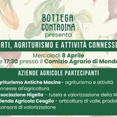 Dagli orti all’agriturismo: le nuove sfide dell’agricoltura in scena al Comizio Agrario Dagli orti all’agriturismo: le nuove sfide dell’agricoltura in scena al Comizio Agrario