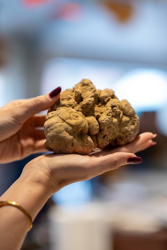Il Consorzio Alta Langa ancora main sponsor della 95ª Fiera Internazionale del Tartufo Bianco di Alba Il Consorzio Alta Langa ancora main sponsor della 95ª Fiera Internazionale del Tartufo Bianco di Alba