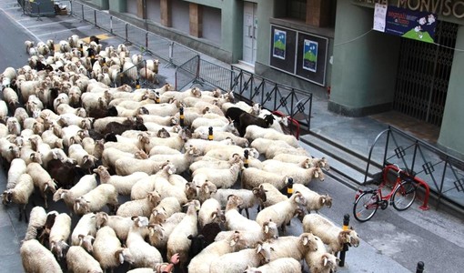 A Cuneo è il weekend del festival della Montagna