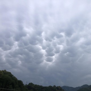 Foto di Enrico Ruggeri