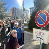 L'iniziativa per salvare i cedri di piazza Europa della scorsa settimana e i divieti di sosta collocati nell'area L'iniziativa per salvare i cedri di piazza Europa della scorsa settimana e i divieti di sosta collocati nell'area