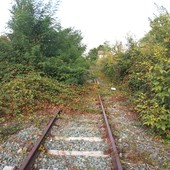 Un tratto della Cuneo-Mondovì a Pogliola in un'immagine di repertorio