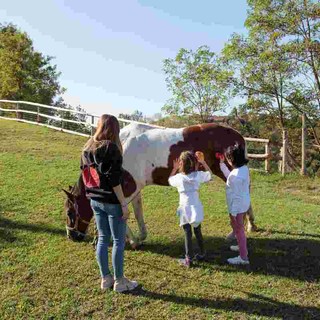 Un aiuto alle famiglie che hanno affrontato la malattia oncologica: a Govone il corso per nuovi volontari de La Collina degli Elfi