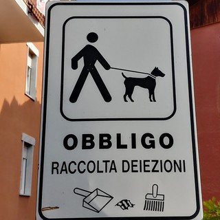 Venasca richiama al rispetto del decoro urbano: ordinanza del sindaco per le deiezioni canine