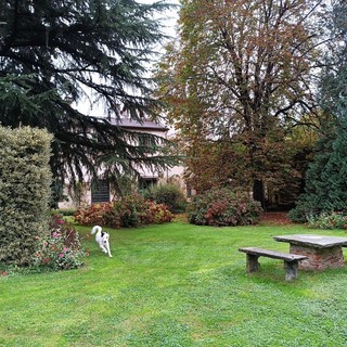 Cuneo, domenica 26 ottobre apre il giardino autunnale di Villa Oldofredi Tadini Cuneo, domenica 26 ottobre apre il giardino autunnale di Villa Oldofredi Tadini