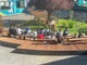 Il nuovo giardino all'interno del liceo Bodono di Saluzzo Il nuovo giardino all'interno del liceo Bodono di Saluzzo