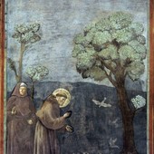 Predica agli uccelli, affresco di Giotto, Basilica superiore di Assisi Predica agli uccelli, affresco di Giotto, Basilica superiore di Assisi