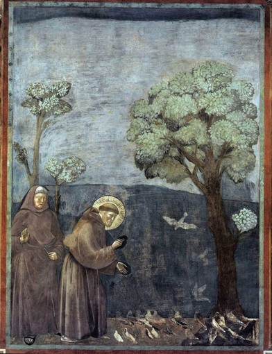 Predica agli uccelli, affresco di Giotto, Basilica superiore di Assisi Predica agli uccelli, affresco di Giotto, Basilica superiore di Assisi