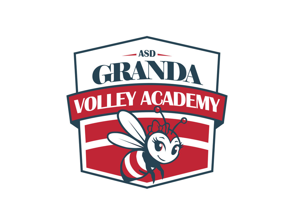 PALLAVOLO / Asd Granda Volley Academy presenta la nuova identità: l'ape, simbolo di una comunità che cresce insieme PALLAVOLO / Asd Granda Volley Academy presenta la nuova identità: l'ape, simbolo di una comunità che cresce insieme