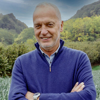 Crediti di carbonio forestali, Bergesio (Lega): "Riconosciuto il ruolo cruciale dei boschi"