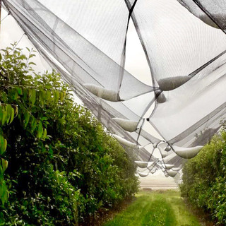 Reti antigrandine e interventi antigelo: dalla Regione 4,8 milioni a 240 aziende della Granda