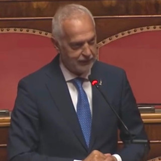Giorgio Bergesio