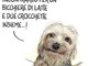 La vignetta di Paparelli per la giornata internazionale del cane