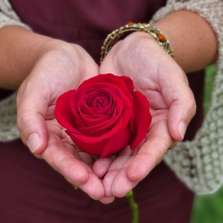 Un fiore e una preghiera, omaggio alle mamme che non ci sono più Un fiore e una preghiera, omaggio alle mamme che non ci sono più