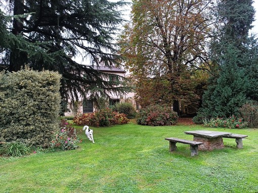 Cuneo, domenica 26 ottobre apre il giardino autunnale di Villa Oldofredi Tadini Cuneo, domenica 26 ottobre apre il giardino autunnale di Villa Oldofredi Tadini