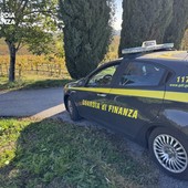 Controlli anche in provincia di Cuneo per "Vinum Mentitum": 20mila litri di vino sequestrati in tre cantine (immagine d'archivio)