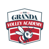 PALLAVOLO / Asd Granda Volley Academy presenta la nuova identità: l'ape, simbolo di una comunità che cresce insieme PALLAVOLO / Asd Granda Volley Academy presenta la nuova identità: l'ape, simbolo di una comunità che cresce insieme