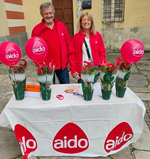 Aido, bilancio positivo per la "Giornata Nazionale del Sì". Tanti cittadini ai banchetti informativi Aido, bilancio positivo per la "Giornata Nazionale del Sì". Tanti cittadini ai banchetti informativi