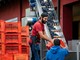 Tecnologia e lavoro nelle Langhe: esoscheletri nella movimentazione dell’uva Tecnologia e lavoro nelle Langhe: esoscheletri nella movimentazione dell’uva