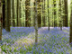 Cuneofotografia Aps porta alla Casa del Fiume la grande fotografia di natura Cuneofotografia Aps porta alla Casa del Fiume la grande fotografia di natura