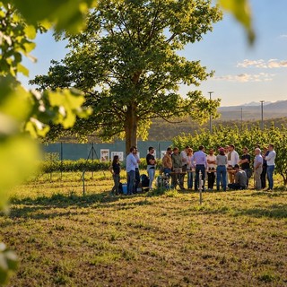 Al via le iscrizioni per l'Hazelnut Agronomy Program