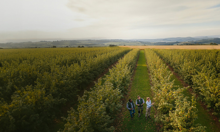 Al via l’"Hazelnut Agronomy Program" promosso dal gruppo albese insieme a Eiis e Conaf Al via l’"Hazelnut Agronomy Program" promosso dal gruppo albese insieme a Eiis e Conaf