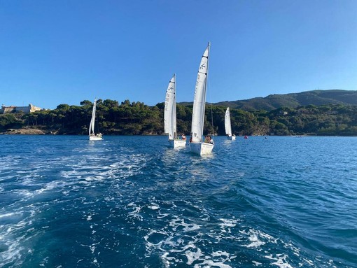 Liceo "Giolitti-Gandino", 120 studenti in barca a vela all'Isola d'Elba Liceo "Giolitti-Gandino", 120 studenti in barca a vela all'Isola d'Elba