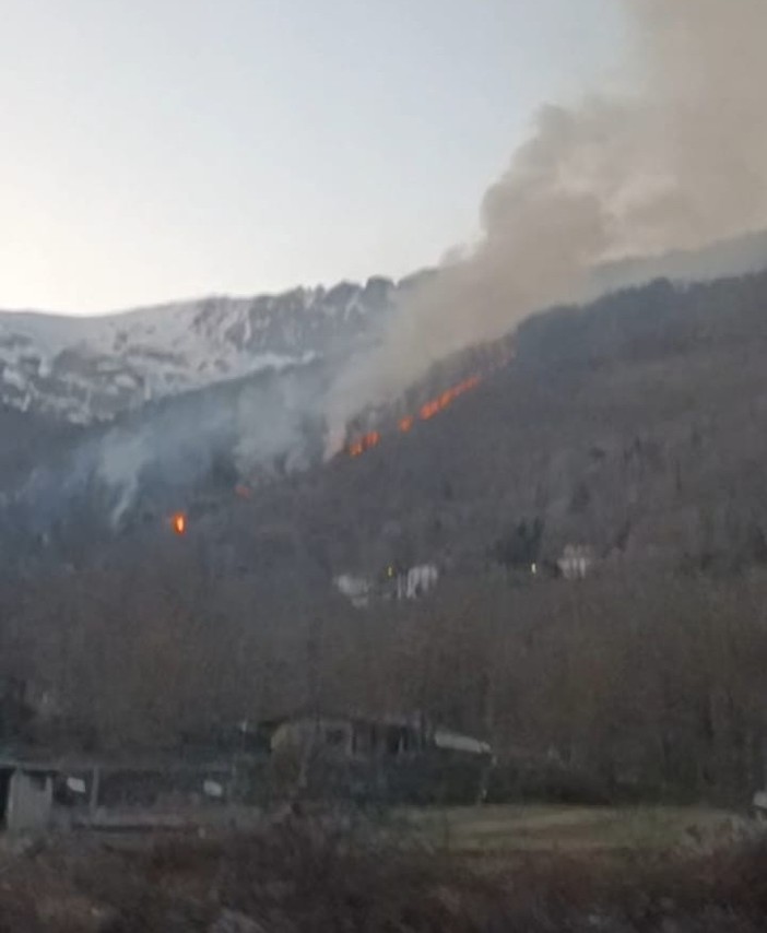 Boschi dimenticati, incendi annunciati: l’allarme dell'Uncem Boschi dimenticati, incendi annunciati: l’allarme dell'Uncem