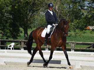 Manuel Lamberti Manuel Lamberti