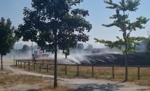 Incendi, bollettino ancora moderato ma la Granda fa i conti con una giornata di interventi [VIDEO]