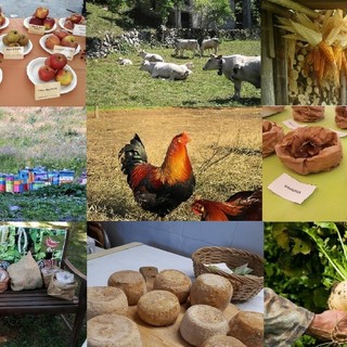 A Mondovì  “I presidi della biodiversità”