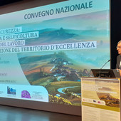 Sicurezza in agricoltura, Icardi: formazione e strumenti concreti per ridurre gli infortuni