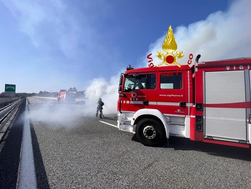 Immagine d'archivio Immagine d'archivio