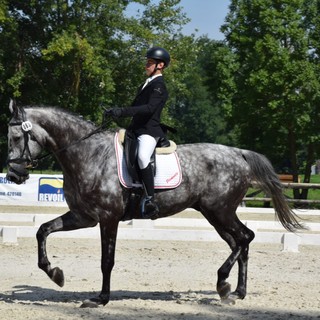 Andrea Di Muro Andrea Di Muro