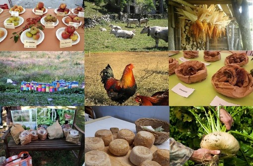 A Mondovì  “I presidi della biodiversità”