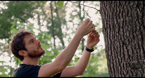 A Dronero torna Origini Fest: quattro giorni "In equilibrio" tra cinema, teatro, musica e sostenibilità A Dronero torna Origini Fest: quattro giorni "In equilibrio" tra cinema, teatro, musica e sostenibilità