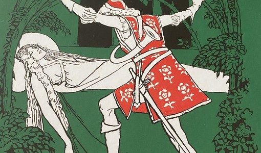 La copertina di uno dei testi donati La copertina di uno dei testi donati