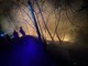 Incendio boschivo a Bernezzo: squadre del soccorso all’opera fino in tarda serata