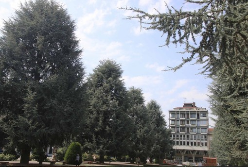 Fridays For Future Cuneo: “Ok allo stop dei lavori in piazza Europa, ma il progetto va ripensato”