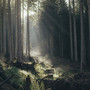 Cinema sotto le stelle a Monterosso e Pradleves con “Il codice del bosco” Cinema sotto le stelle a Monterosso e Pradleves con “Il codice del bosco”