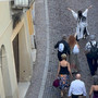 Una danzatrice in maschera sfila per le vie di Mondovì Piazza: è LiberTango [VIDEO]