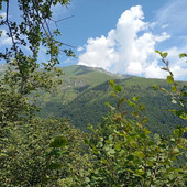 Ormea, agosto nel segno della “Balconata”: tre escursioni tra borghi, storia e panorami sulla Valle Tanaro Ormea, agosto nel segno della “Balconata”: tre escursioni tra borghi, storia e panorami sulla Valle Tanaro