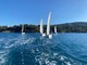 Liceo "Giolitti-Gandino", 120 studenti in barca a vela all'Isola d'Elba Liceo "Giolitti-Gandino", 120 studenti in barca a vela all'Isola d'Elba