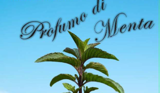 Unitre Moretta, un anno con 300 iscritti si chiude tra cultura e partecipazione Unitre Moretta, un anno con 300 iscritti si chiude tra cultura e partecipazione