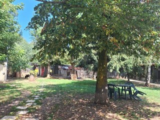 Il rifugio canile La casa di Freddy