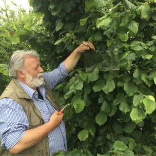 Lorenzo Traversa Lorenzo Traversa