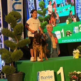 Da Bra a Mondovì con successo per Lara Giuliano e il suo pastore tedesco Vegas di Casa Borriello Da Bra a Mondovì con successo per Lara Giuliano e il suo pastore tedesco Vegas di Casa Borriello